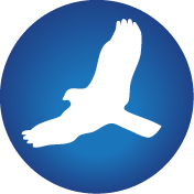Hawksoft To Hubspot Data Migration